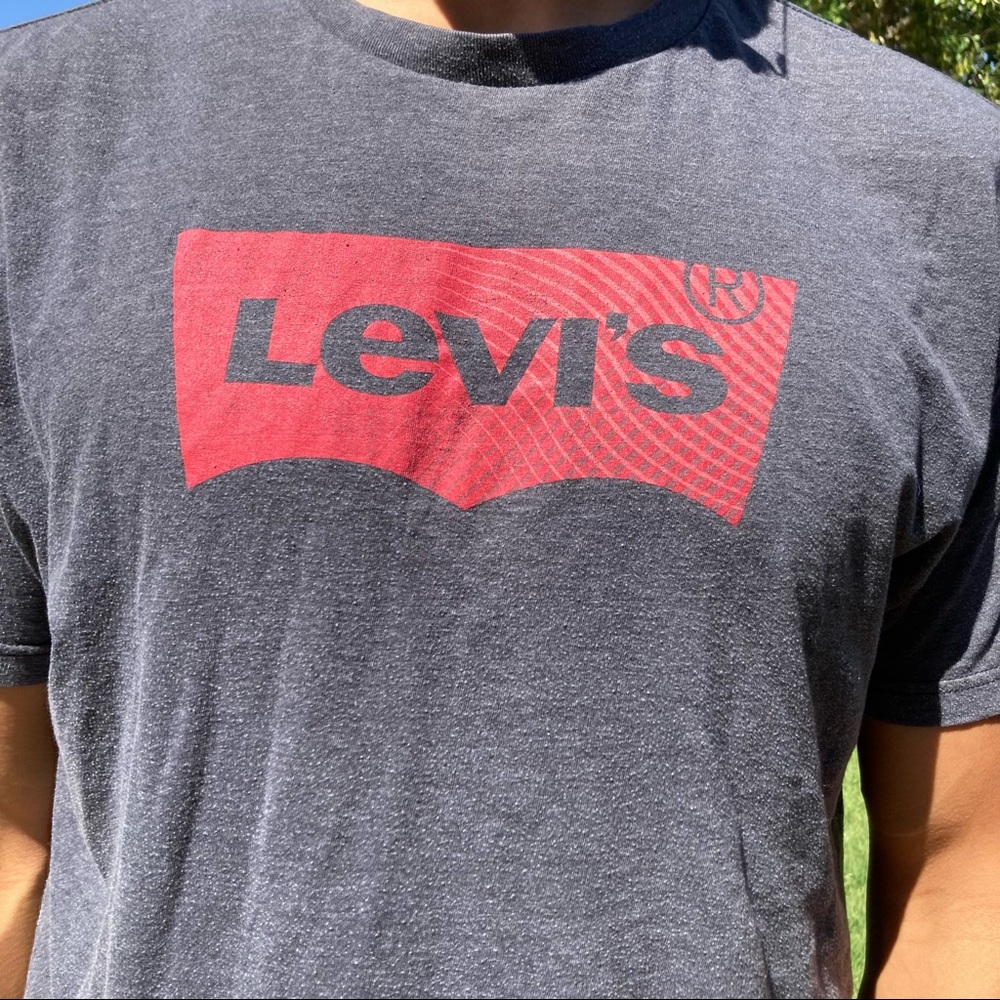 Gray Levi’s short sleeve tshirt